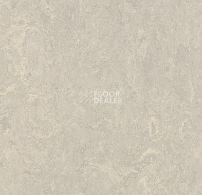 Кварцвиниловые полы Forbo Marmoleum Modular t3136 concrete фото 1 | FLOORDEALER